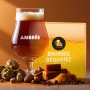 Kit de Bière Ambrée complet pour brassage 5 litres
