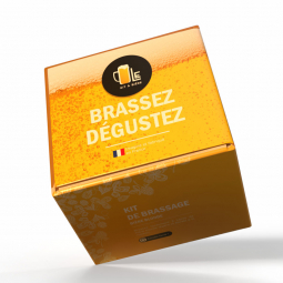 Kit de Bière Blonde découverte pour brassage 2 litres